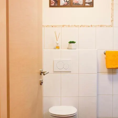 Apart Bergwarts Apartment Fuegen